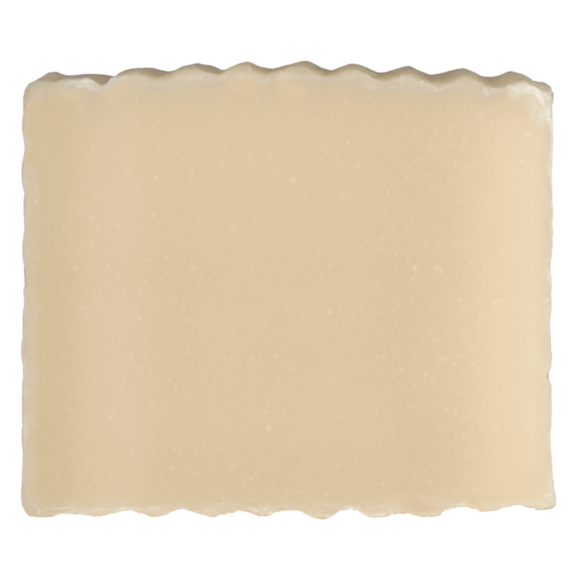 In the Woods - Outdoorsy Fresh Earthy Eco Soap - Blue Heron Soap Co