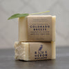 Colorado Breeze - Warm Aromatic Pine Eco Soap - Blue Heron Soap Co
